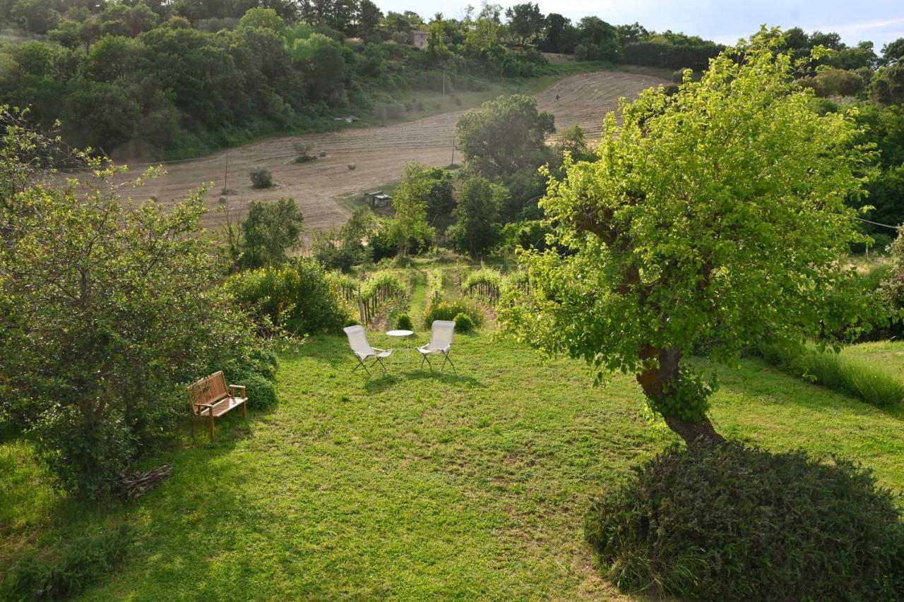 Casa Lattuada Apartment Orvieto Exterior photo